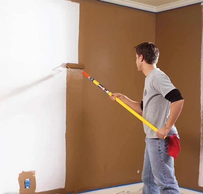 Şaphane Boya Badanacı