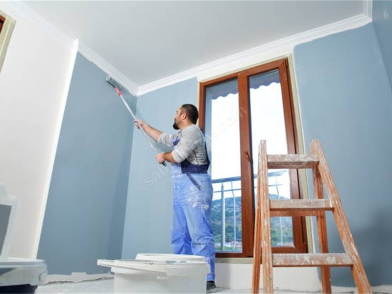 Şaphane Boya Badanacı